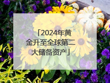 2024年黄金升至全球第二大储备资产