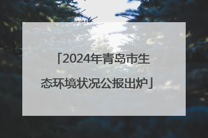 2024年青岛市生态环境状况公报出炉