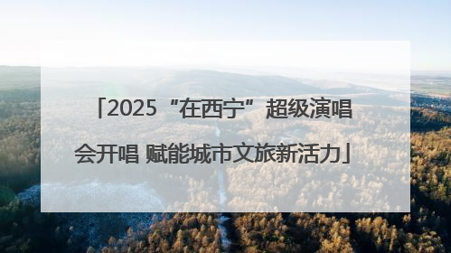 2025“在西宁”超级演唱会开唱 赋能城市文旅新活力