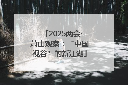 2025两会·萧山观察：“中国视谷”的新江湖