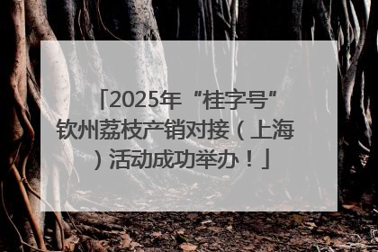 2025年“桂字号”钦州荔枝产销对接（上海）活动成功举办！