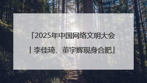 2025年中国网络文明大会丨李佳琦、董宇辉现身合肥