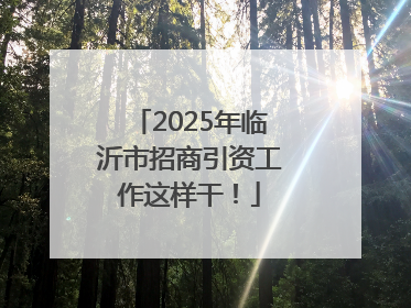 2025年临沂市招商引资工作这样干！