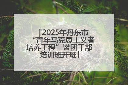 2025年丹东市“青年马克思主义者培养工程”暨团干部培训班开班