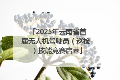 2025年云南省首届无人机驾驶员（巡检）技能竞赛启幕
