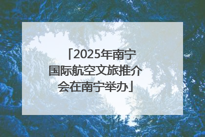 2025年南宁国际航空文旅推介会在南宁举办