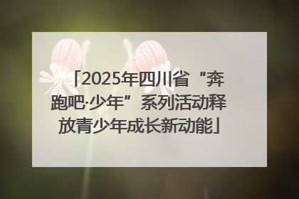 2025年四川省“奔跑吧·少年”系列活动释放青少年成长新动能
