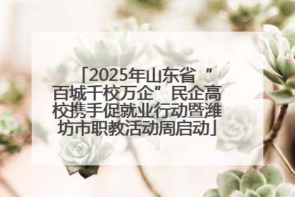 2025年山东省“百城千校万企”民企高校携手促就业行动暨潍坊市职教活动周启动