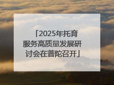 2025年托育服务高质量发展研讨会在普陀召开