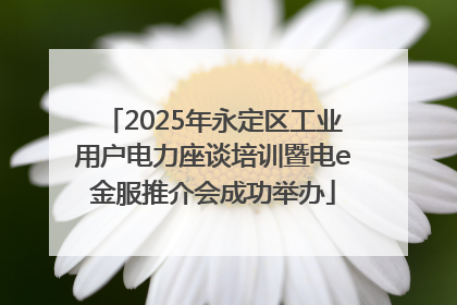 2025年永定区工业用户电力座谈培训暨电e金服推介会成功举办