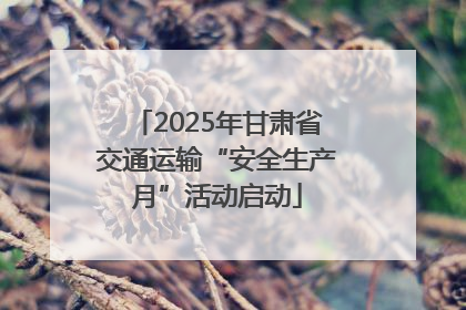 2025年甘肃省交通运输“安全生产月”活动启动