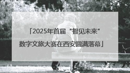 2025年首届“智见未来”数字文旅大赛在西安圆满落幕