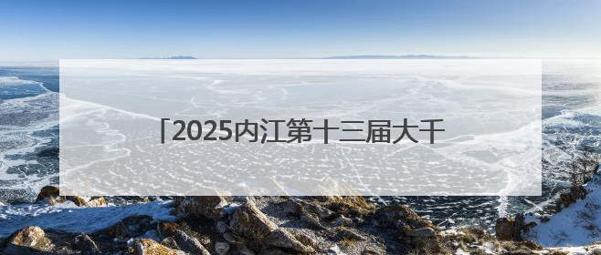 2025内江第十三届大千龙舟经贸文化博览会开幕