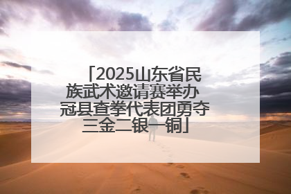 2025山东省民族武术邀请赛举办 冠县查拳代表团勇夺三金二银一铜