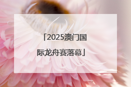 2025澳门国际龙舟赛落幕