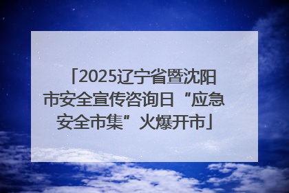 2025辽宁省暨沈阳市安全宣传咨询日“应急安全市集”火爆开市
