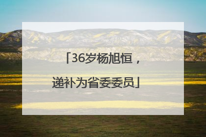 36岁杨旭恒，递补为省委委员
