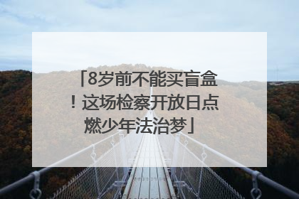 8岁前不能买盲盒！这场检察开放日点燃少年法治梦