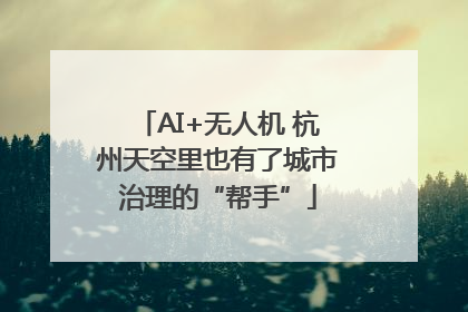 AI+无人机 杭州天空里也有了城市治理的“帮手”
