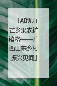 AI助力芒乡果农扩销路——广西田东乡村振兴见闻
