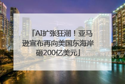 AI扩张狂潮！亚马逊宣布再向美国东海岸砸200亿美元