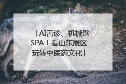 AI舌诊、机械臂SPA！看山东展区玩转中医药文化