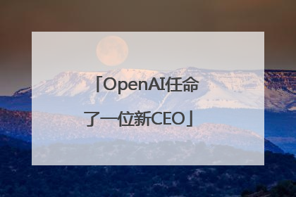 OpenAI任命了一位新CEO