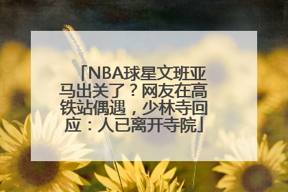 NBA球星文班亚马出关了？网友在高铁站偶遇，少林寺回应：人已离开寺院