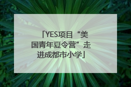 YES项目“美国青年夏令营”走进成都市小学